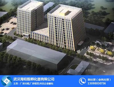 專業(yè)潔凈，為創(chuàng)新護(hù)航 武漢海鉑斯孵化器實(shí)驗(yàn)室清洗刷解析