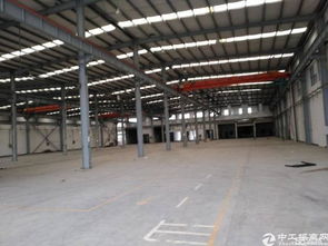 搶占先機！廣州新塘全新高臺廠房火爆招租，打造專業清洗刷生產新高地